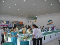 SHOWROOM VIETTEL - VĨNH PHÚC